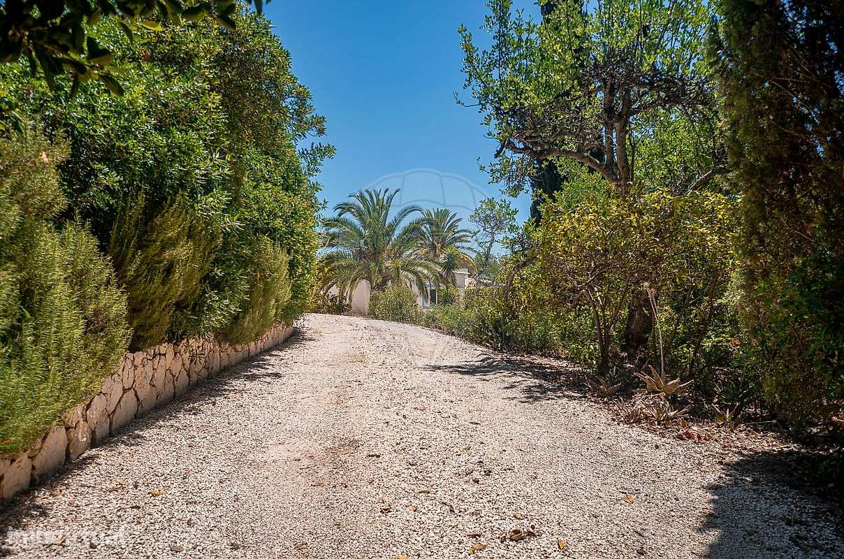 Moradia T4 para arrendamento - Grande imagem: 3/30