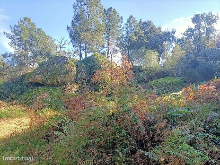 Quinta com 47.000 m2 junto ao Rio Calvo, em Valpaços, ideal p/ turismo-7