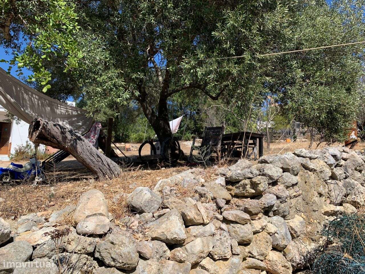 Terreno Urbano, com 3 artigos, Colmeal-52