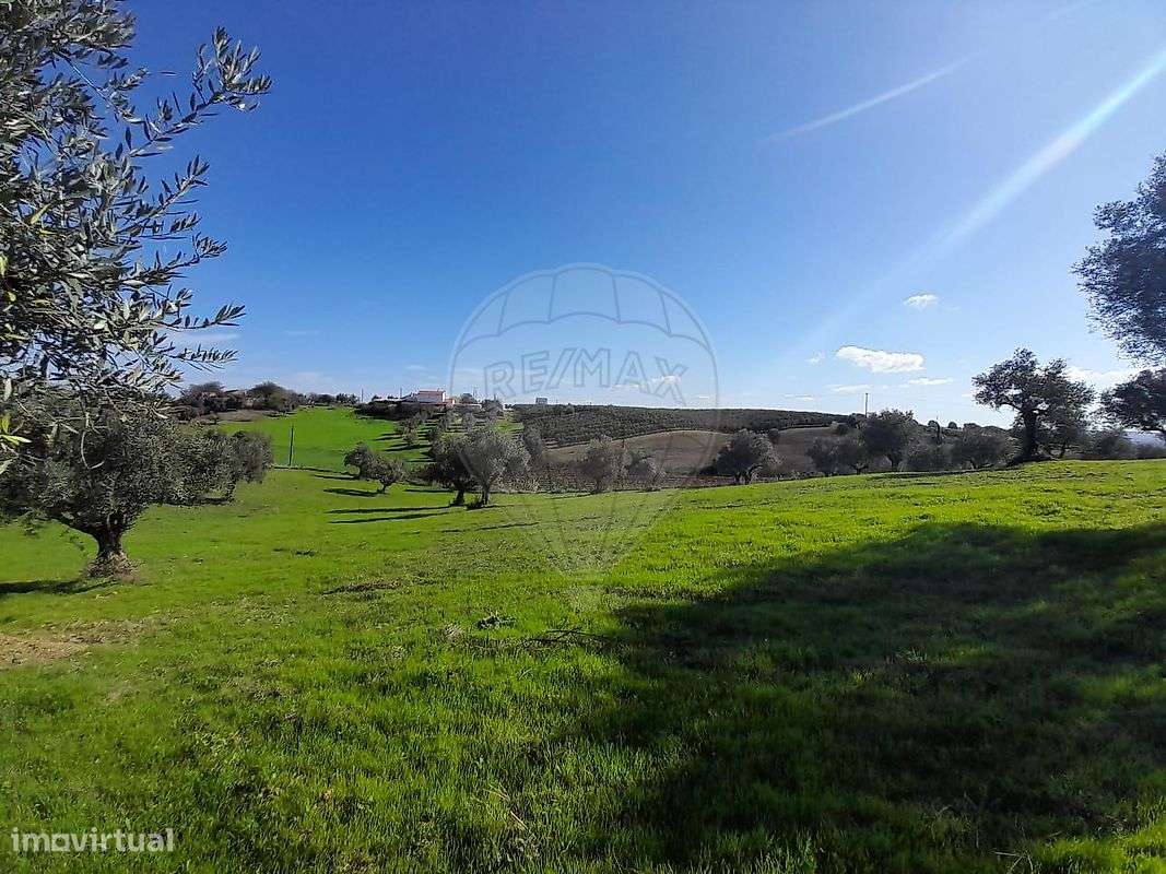 Terreno  para venda - Grande imagem: 2/6