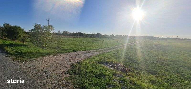 Teren intravilan Lugoj - Imagine principală: 5/5