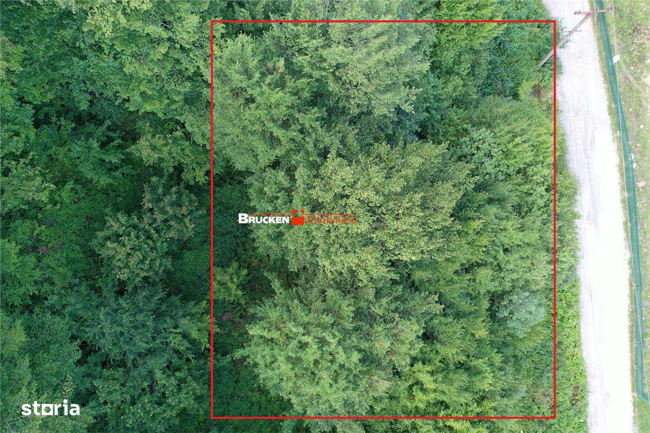 TEREN INTRAVILAN CONSTRUIBIL – 400 mp | Statiunea Boga, com. Pietroasa - Imagine principală: 3/6