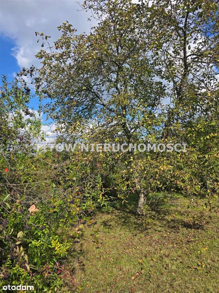 Będzin Małobądz działkę (Rod) odstąpię-8