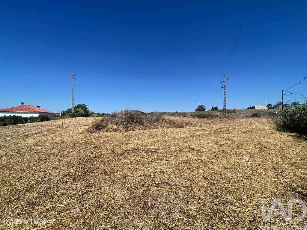 Casa / Villa T2 em Santa Maria, São Pedro E Matacães de 150,00 m2 - Grande imagem: 4/28