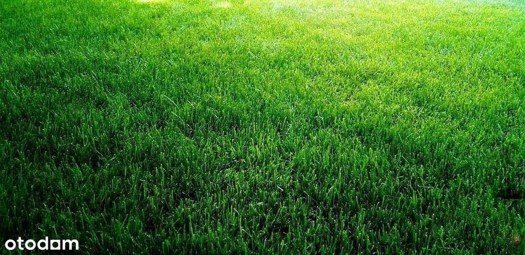 Świetna lokalizacja ... Zabudowa Jednorodzinna-0