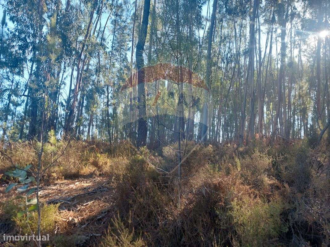 Terreno  para venda - Grande imagem: 4/5