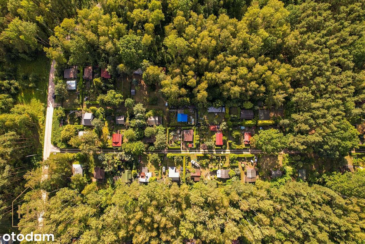 Urokliwa działka ROD "SOSENKA"  – idealne miejsce na rodzinne wypady!-17