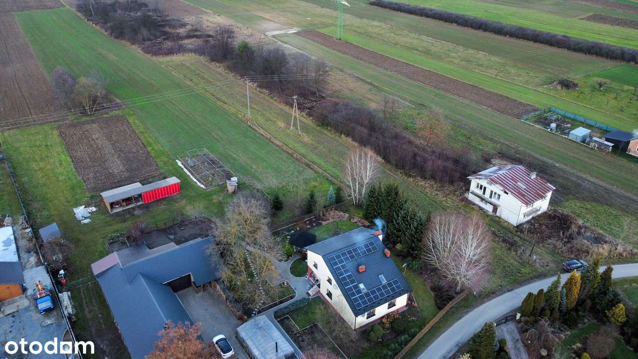 Działka 26 ar pod budowę domu, media przy granicy – Kępie Zaleszańskie - Pełny obrazek: 5/6