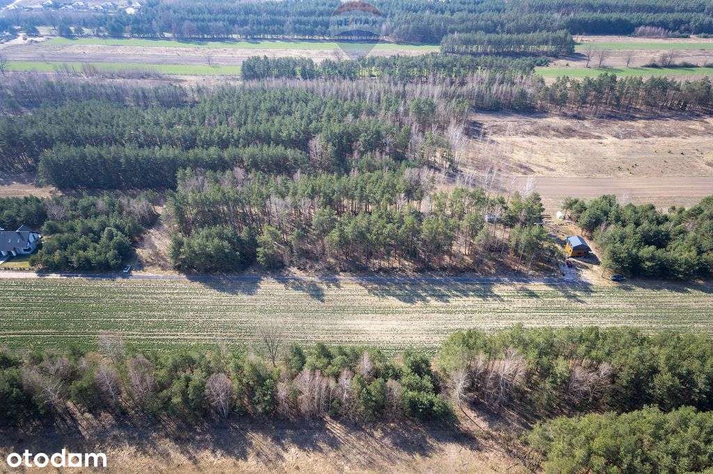 Działka budowlana Dębinkach niedaleko Serocka - Pełny obrazek: 4/12