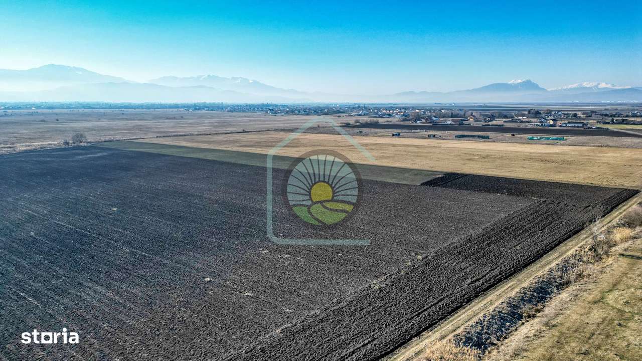 TEREN STUPINI-COMISION 0 - Imagine principală: 5/7