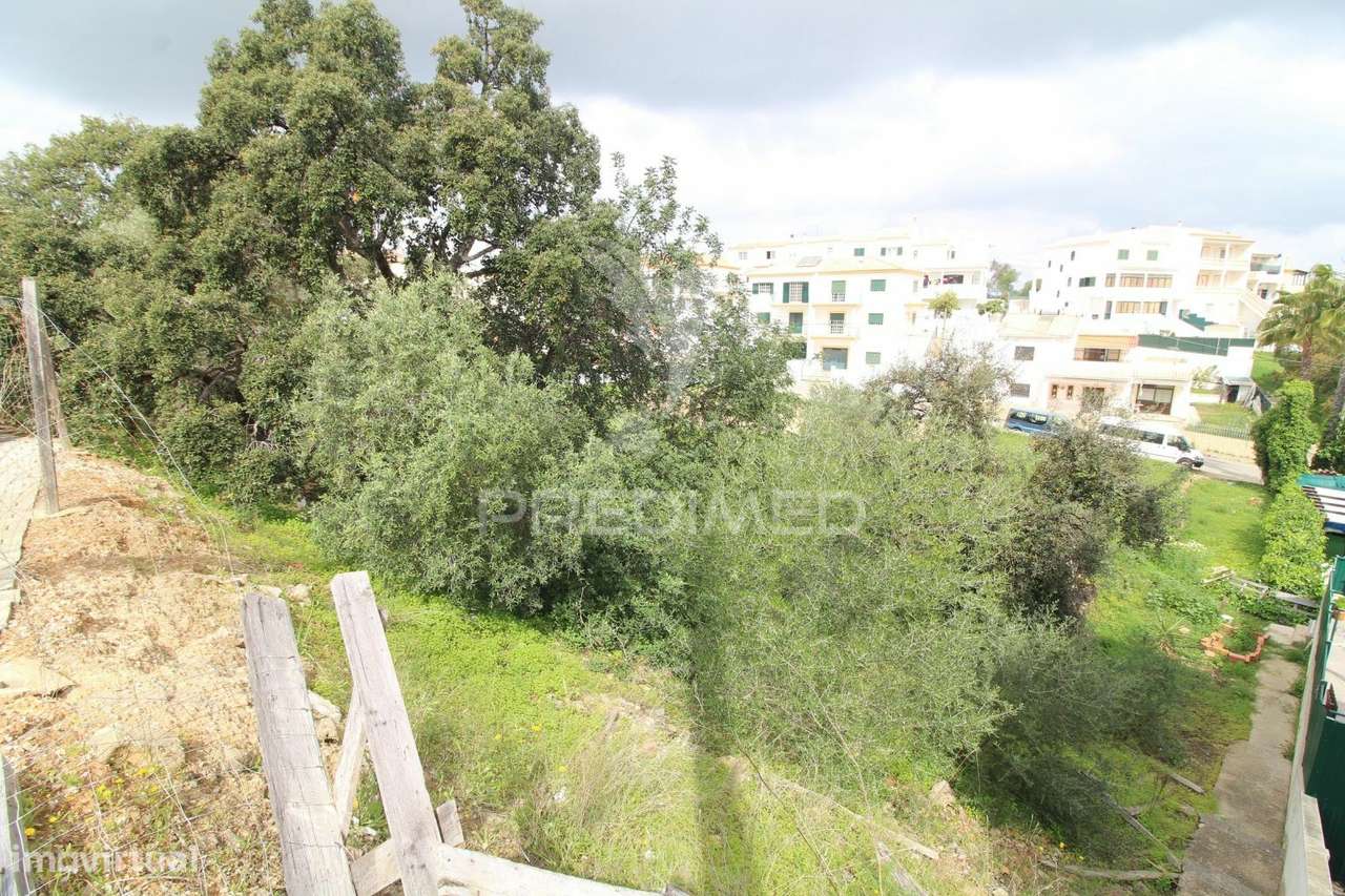 Loteamento urbano para 6 moradias, piscina e bar de apoio - Algoz - Grande imagem: 3/17
