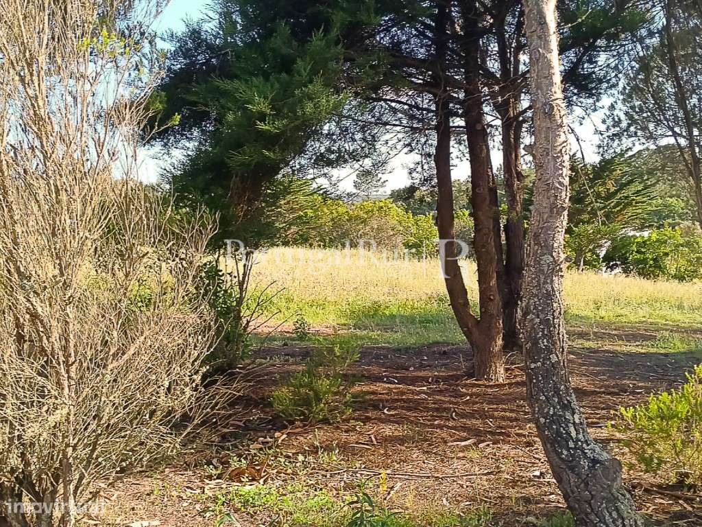 Terreno plano a 5 minutos das Praias, Costa Vicentina Algarve - Grande imagem: 2/10
