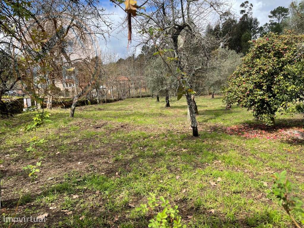 Moradia T4 em Chacim, Cabeceiras de Basto-28