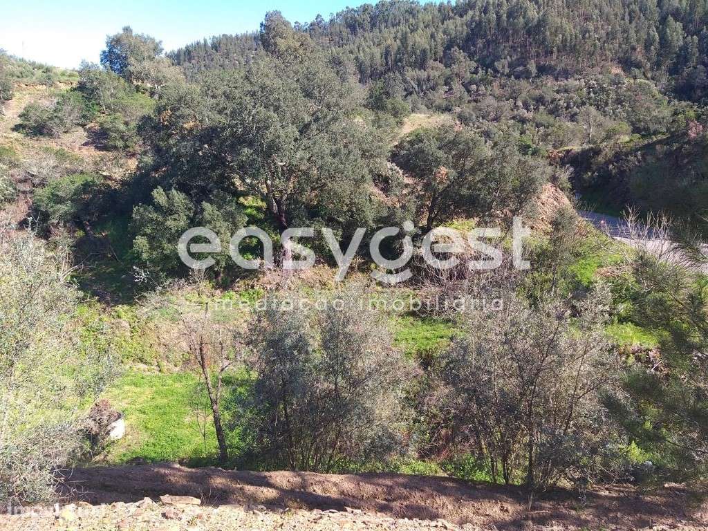 Quinta com casa térrea para habitação e comércio em Monchique - Grande imagem: 5/22