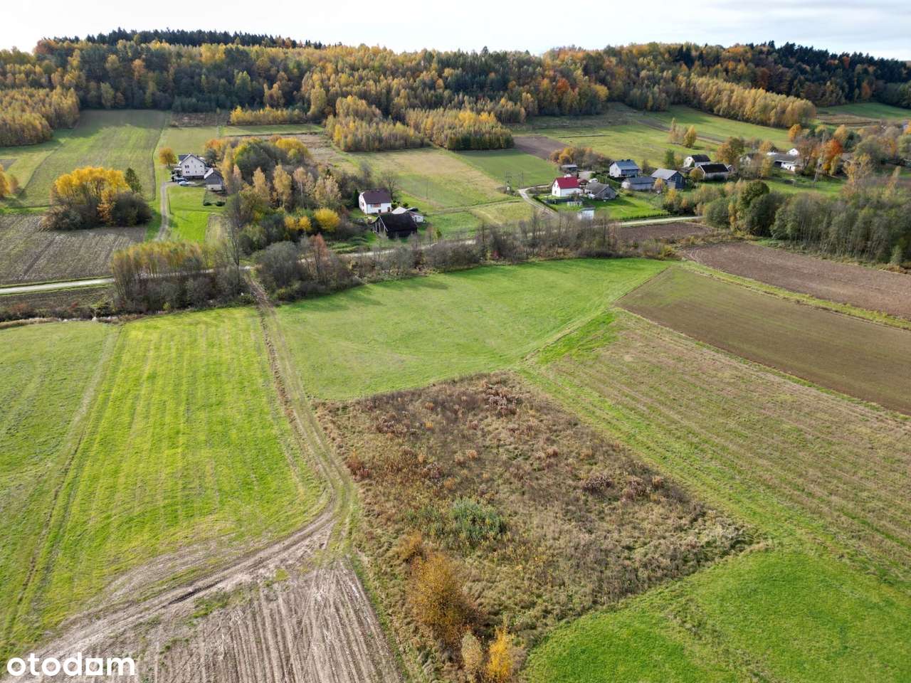 Piękne widoki, cisza i spokój – działka 23 ary w Ołpinach-2