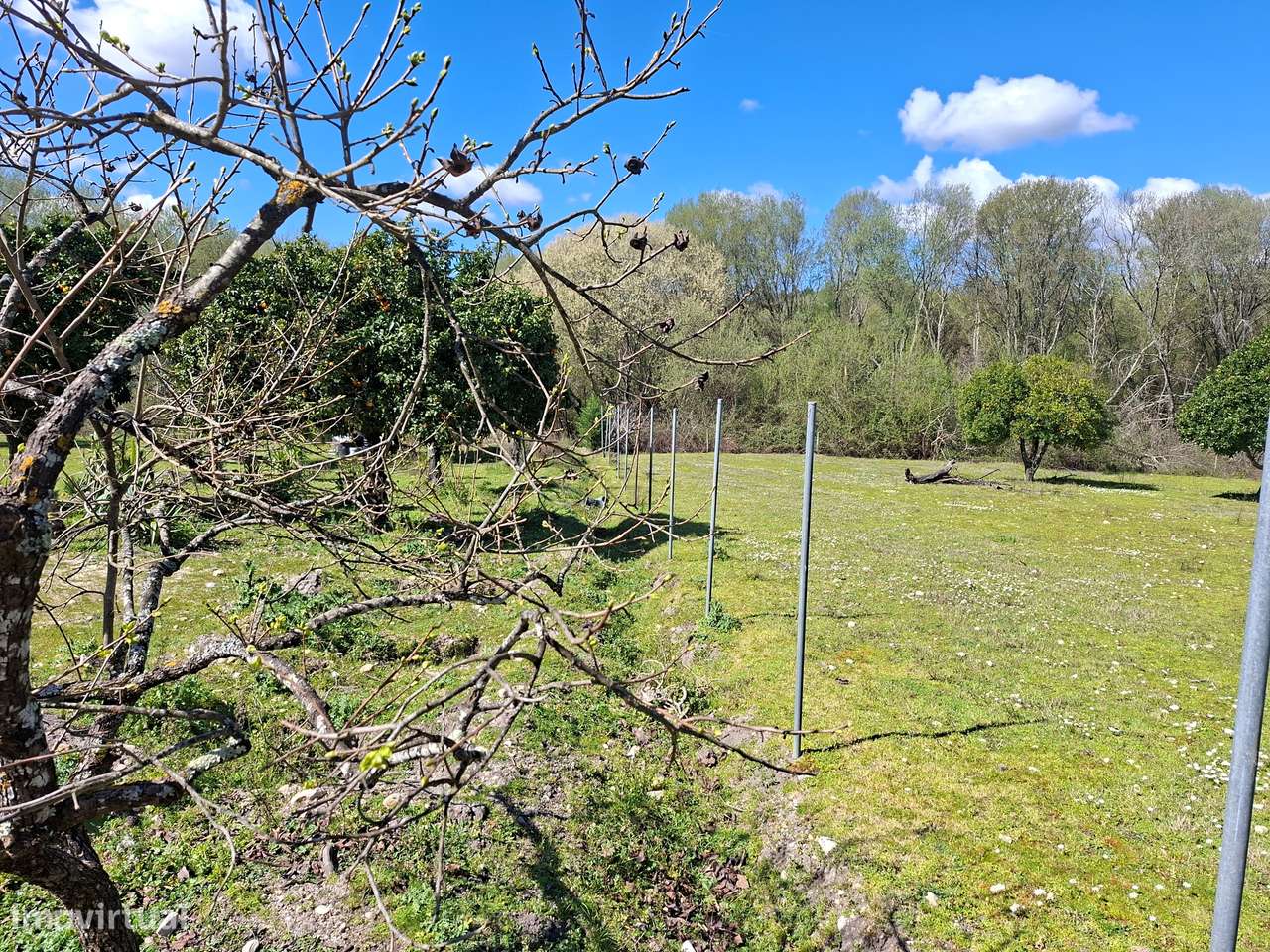 Quinta T5 Venda em Comenda,Gavião-10