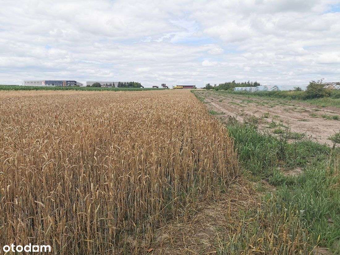 Nieruchomość 1,9 ha, pod zabudowę prod.-usł. - Pełny obrazek: 3/20