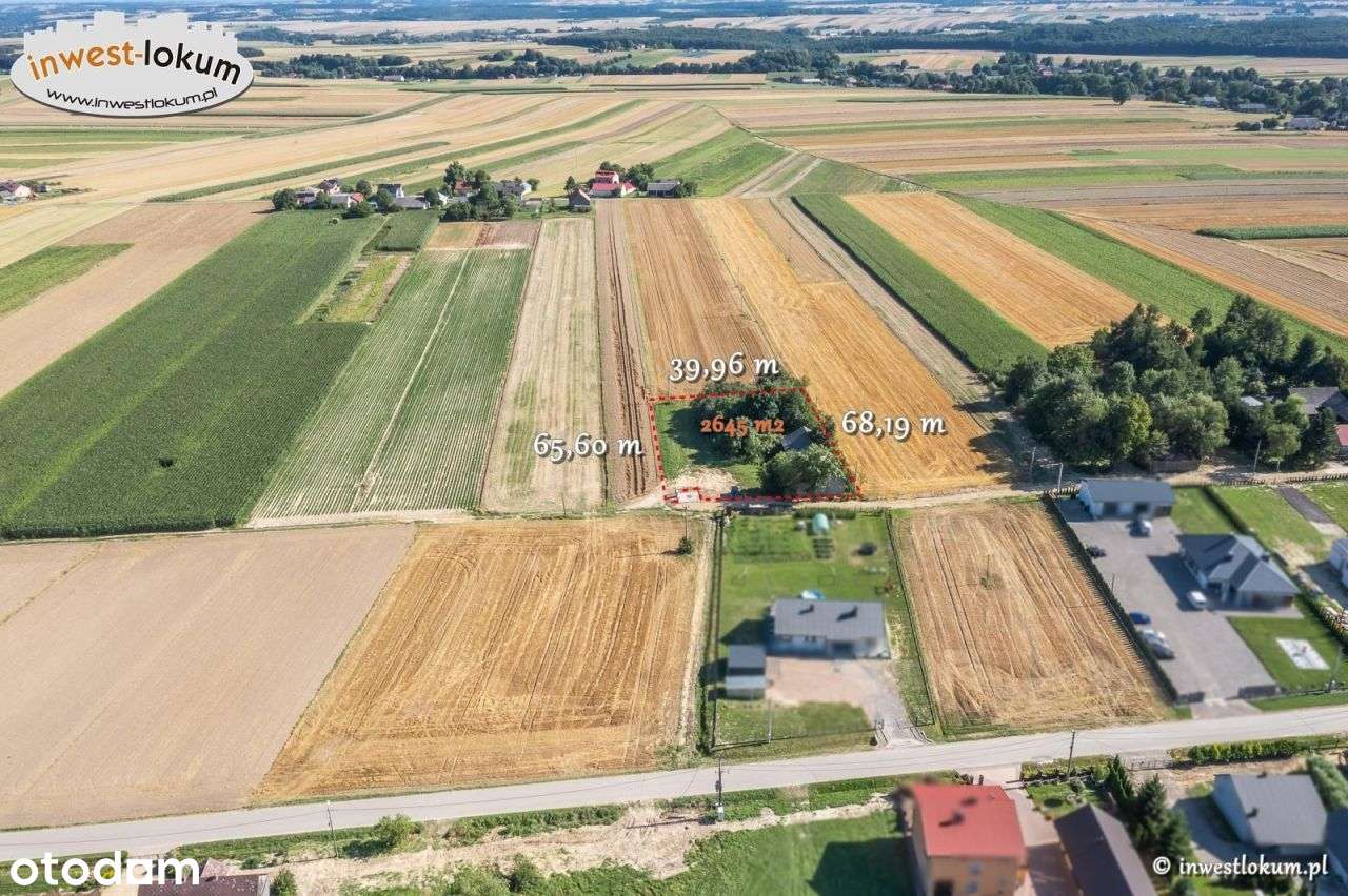 Działka, 2 645 m², Buk-1