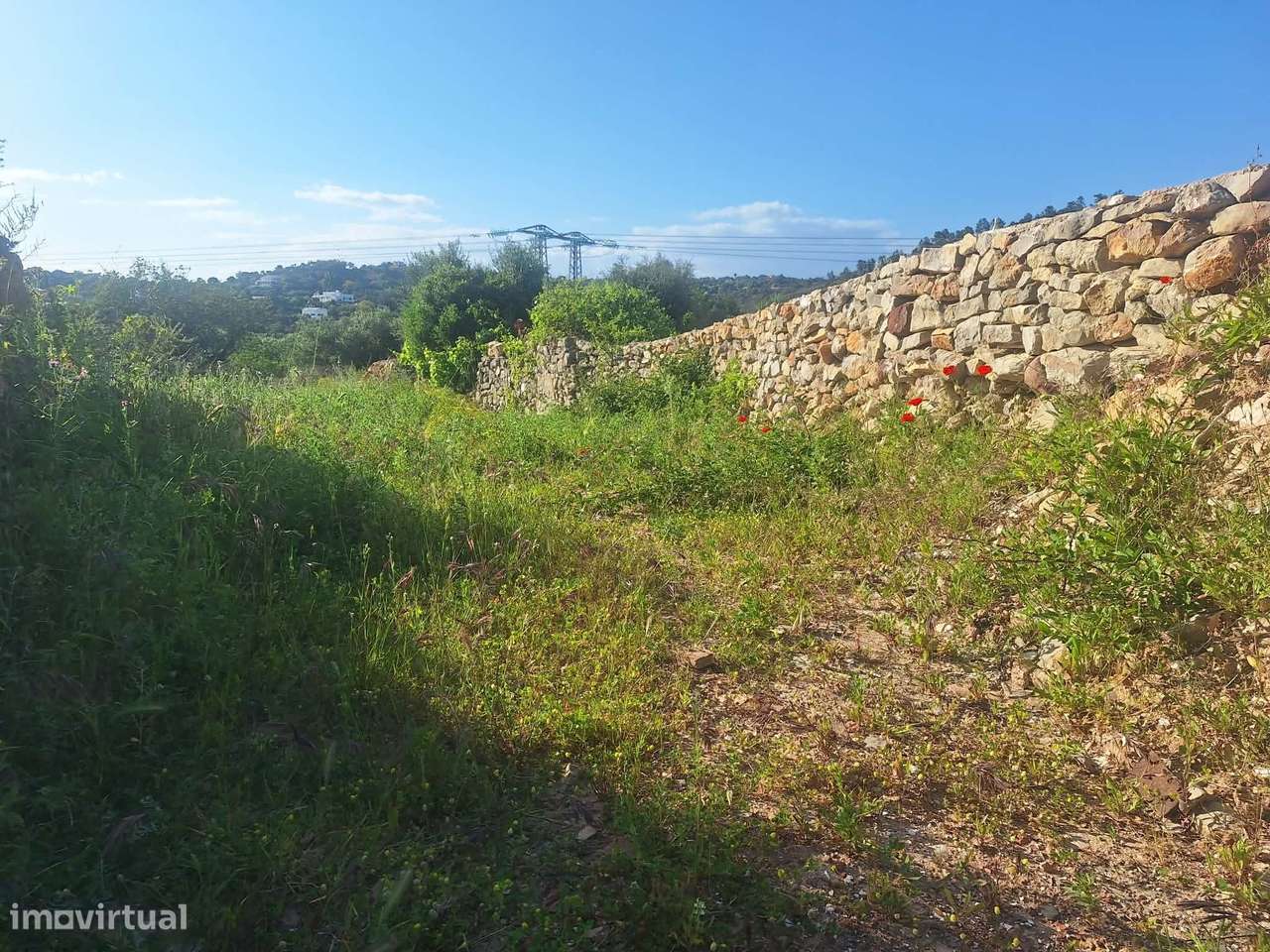 Terreno nos arredores de São Brás de Alportel-13