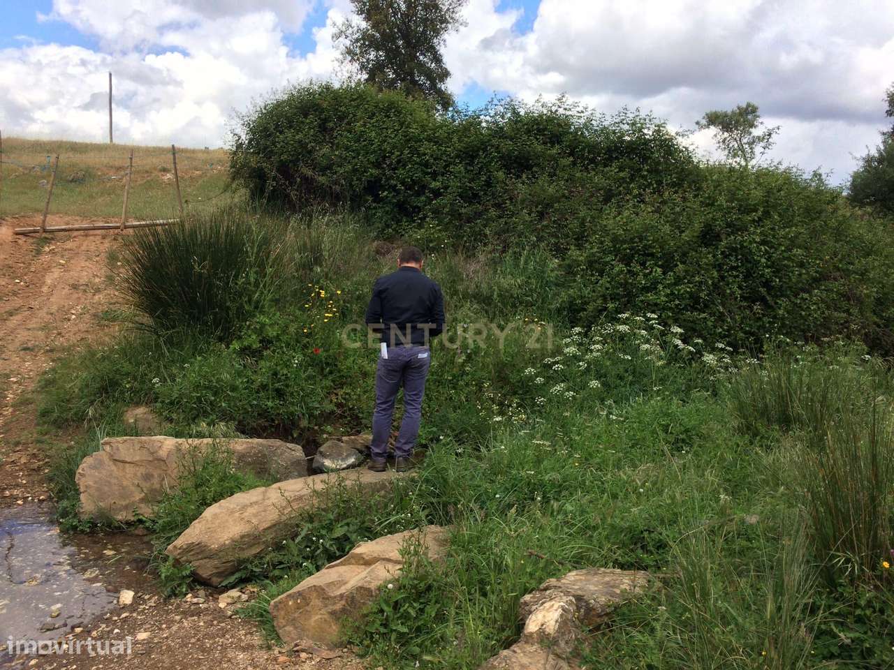 Herdade para Reconstrução em Azenha de Baixo 40 Hectares-8