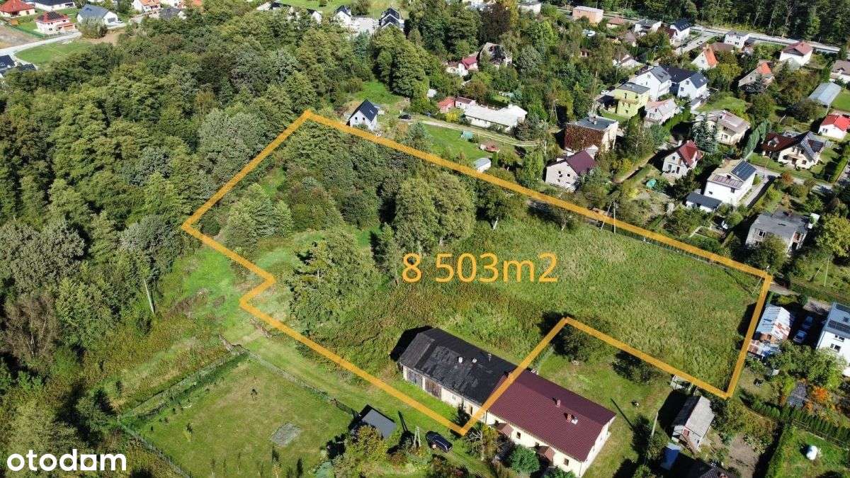 działka 8500m2 Długołęka-3