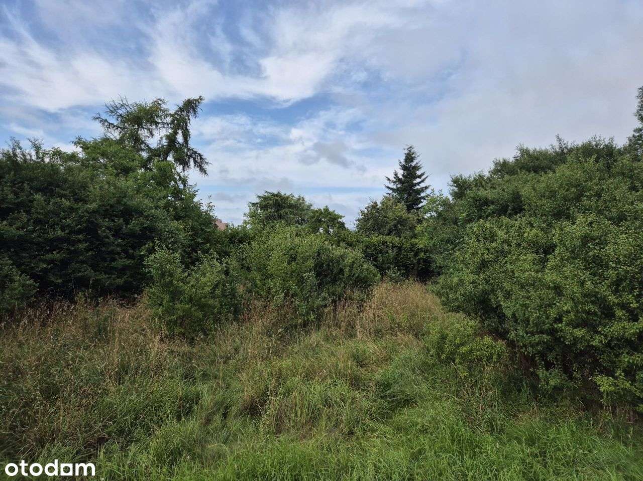 Działka, 719 m², Wejherowo-12