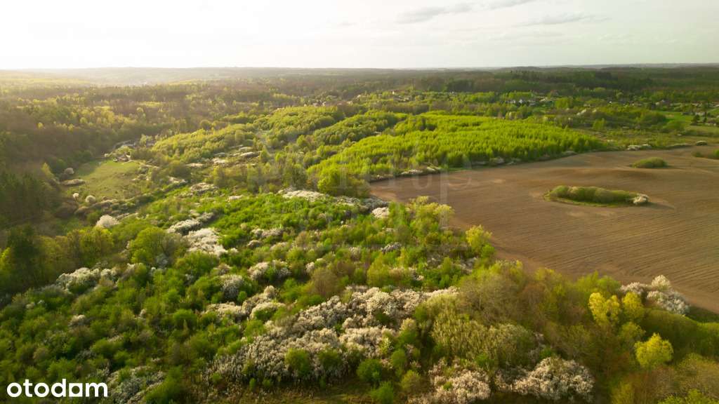 Pręgowo Górne, działki budowlane z MPZP-0