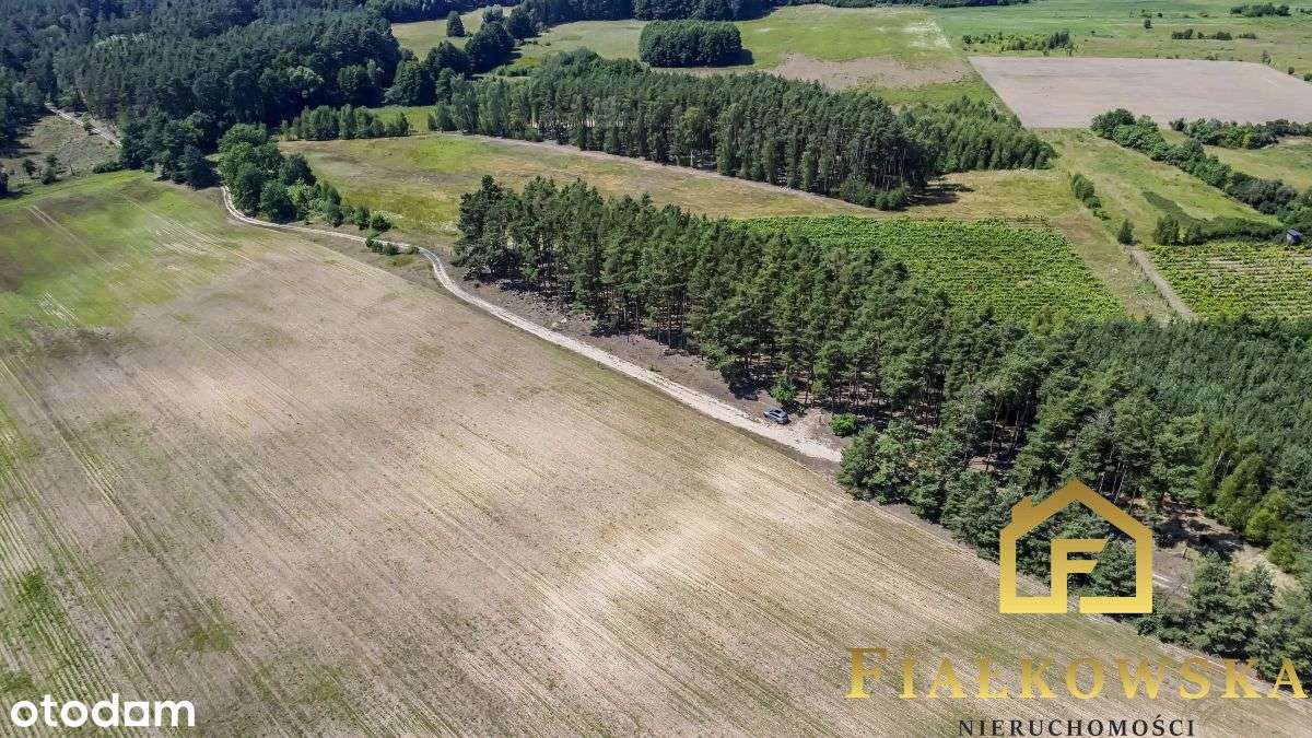 Działka rolna z istniejącą winnicą - Łaz-14