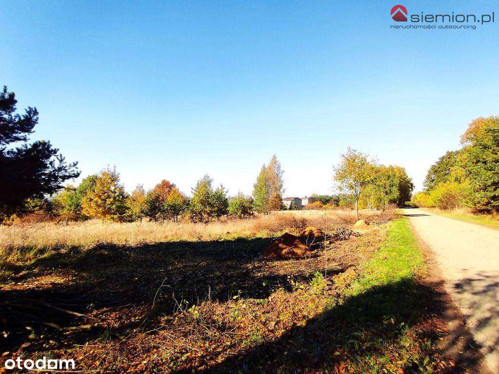 Atrakcyjna działka budowlana Rogoźnik-11