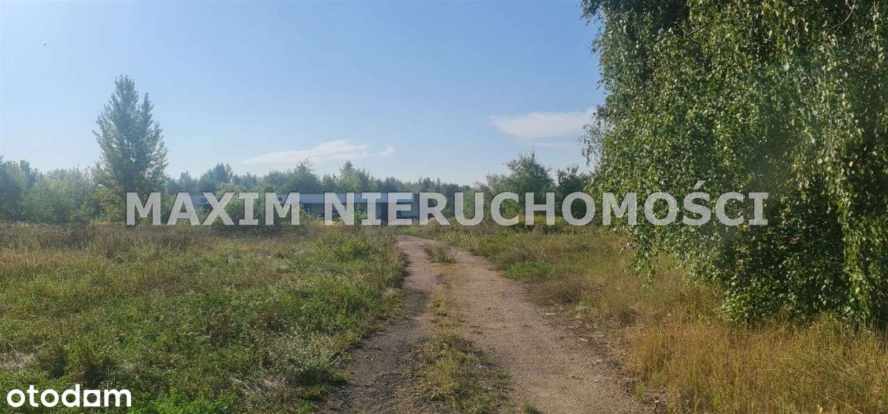 Działka pod inwestycje w Cempkowie - Pełny obrazek: 5/11