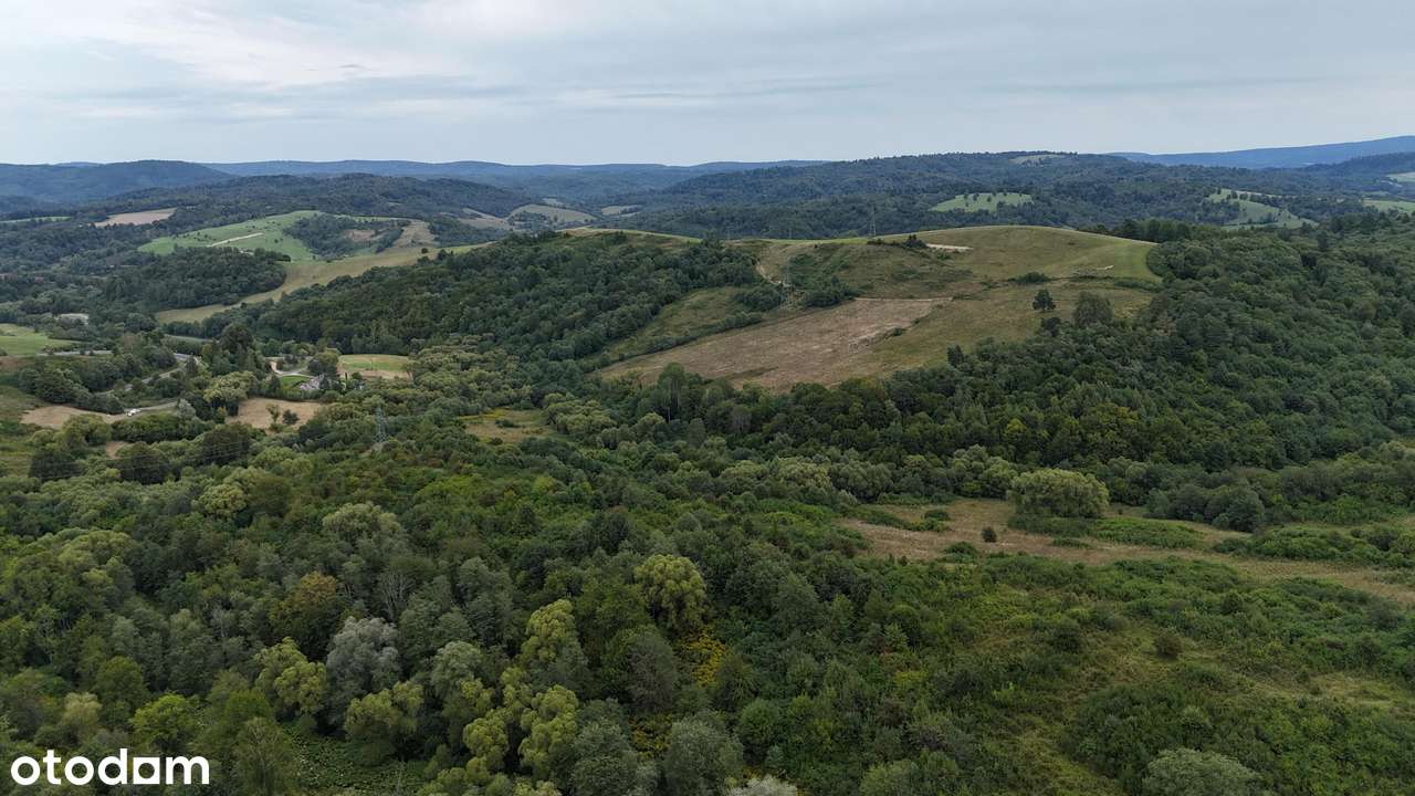 Działki rolne 7 ha,  ok. 1 km od Jeziora Solińskiego - Pełny obrazek: 4/5