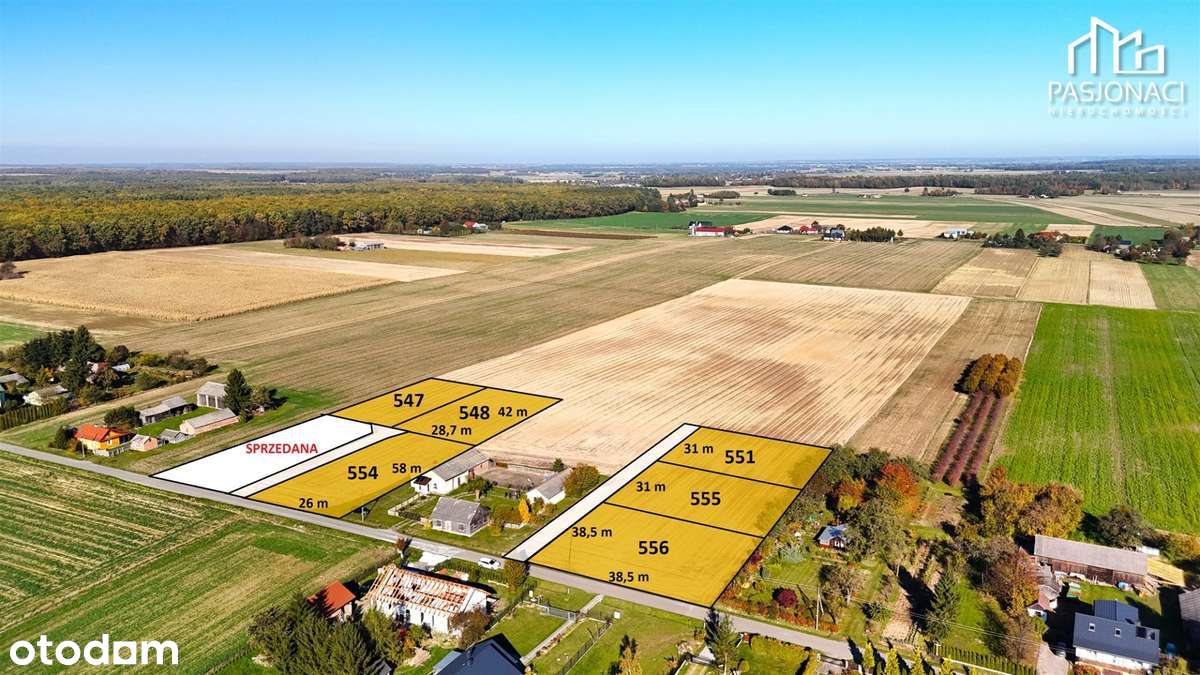 Działki budowlane Kolonia Kiełczewice Dolne - Pełny obrazek: 4/10