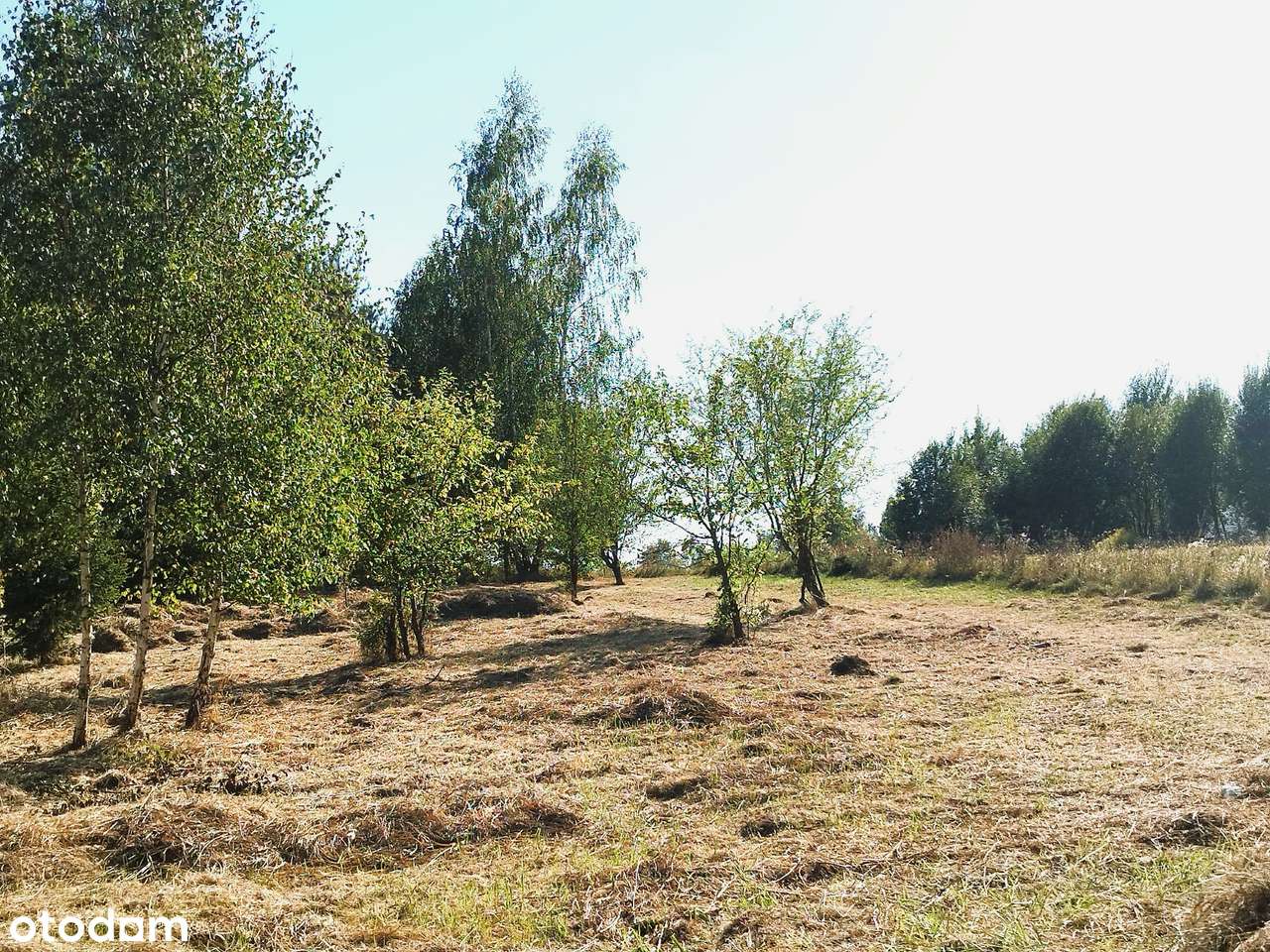 Malownicza działka z warunkami zabudowy - Pełny obrazek: 4/9