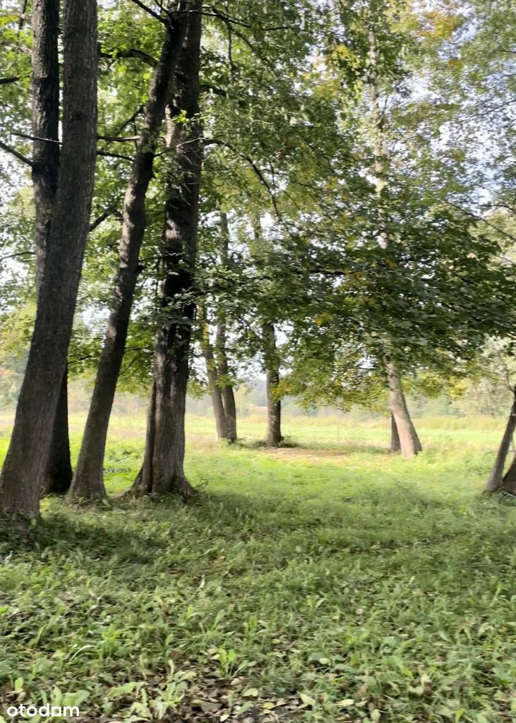 Działka z linią brzegową na Mazurach!