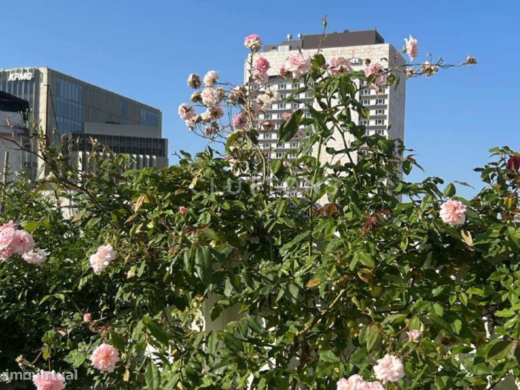 Penthouse T3, Picoas, Lisboa, Terraço Privado e Vistas Urbanas | Cl...-35