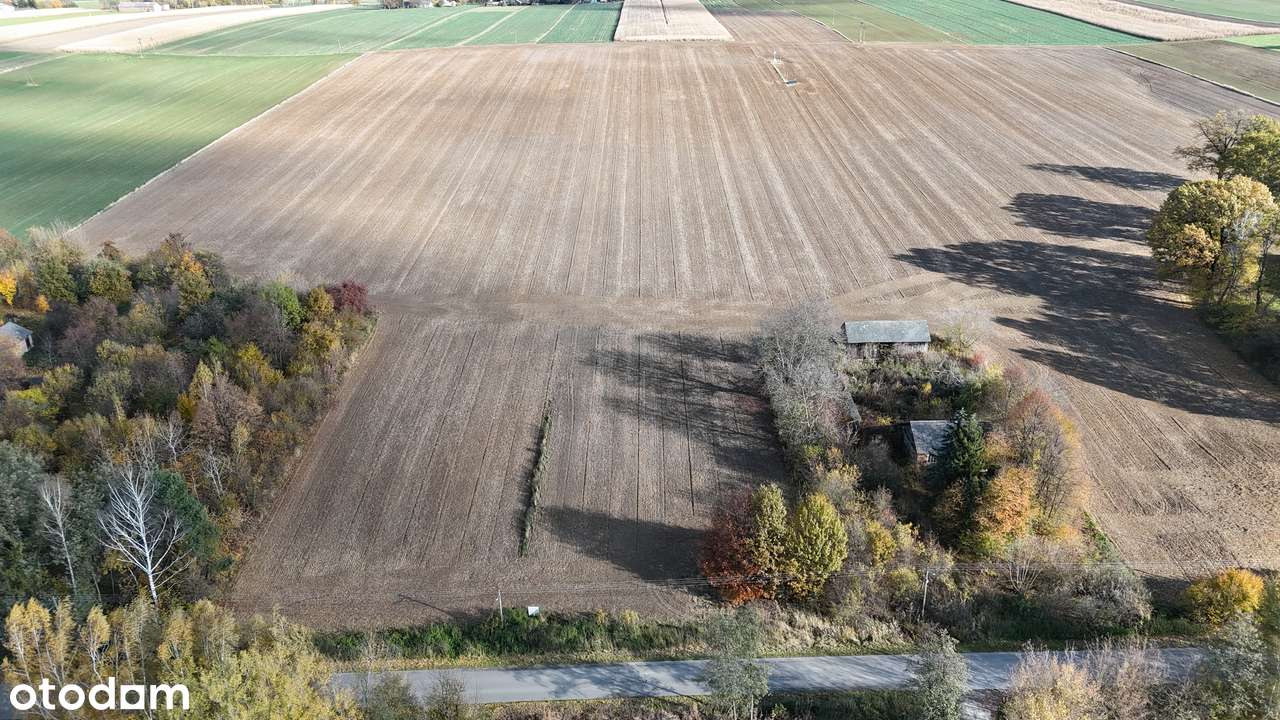 Działka budowlana Chmiel - Kolonia-1