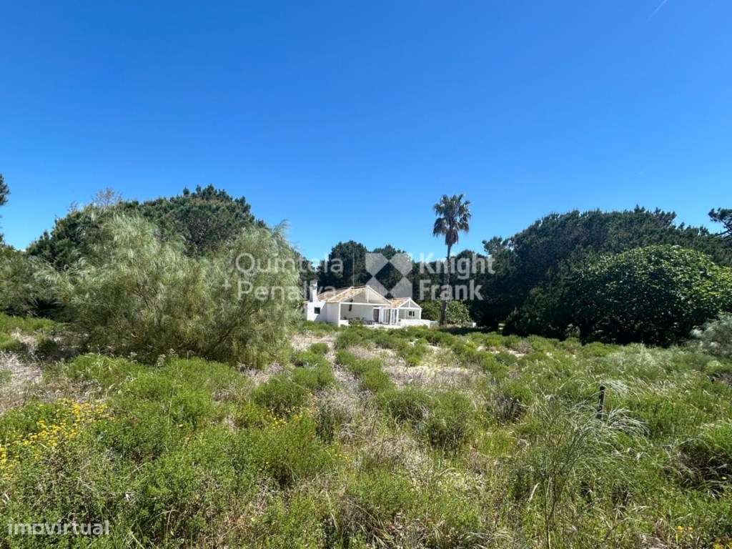 Terreno com 7618 m2 na Herdade da Comporta - Grande imagem: 5/11