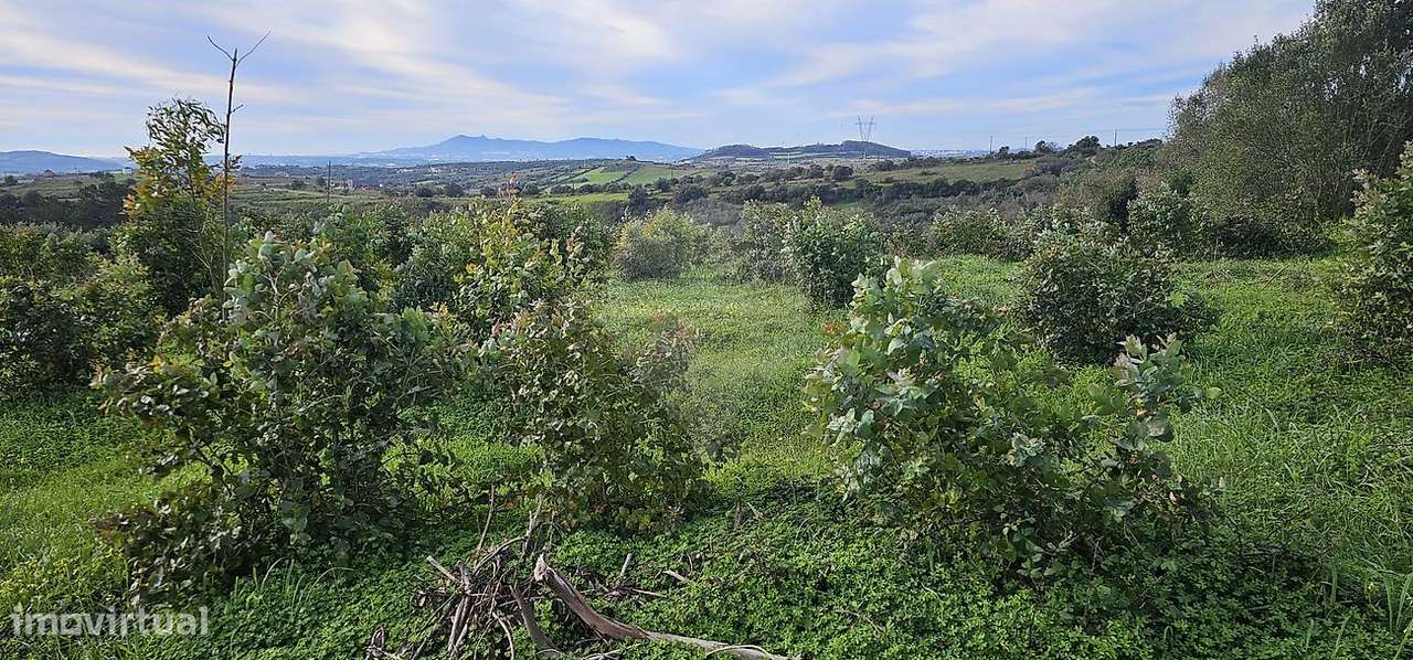 Terreno  para venda - Grande imagem: 5/11