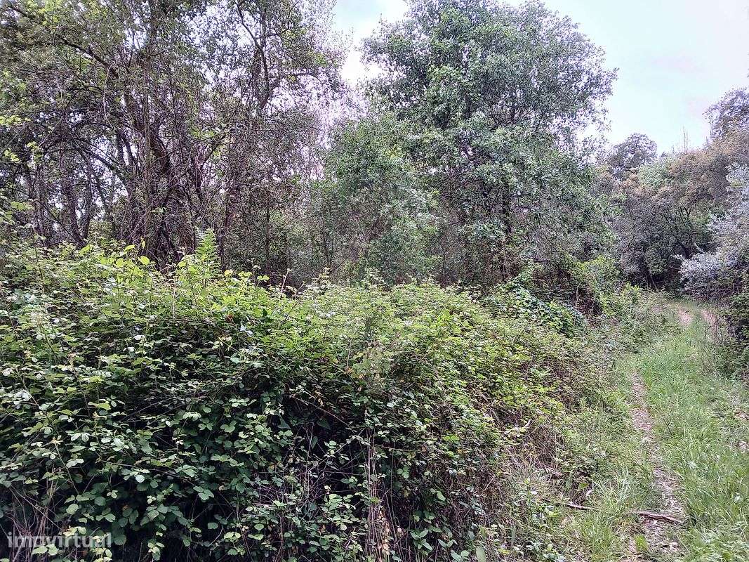 Terreno  para venda-3