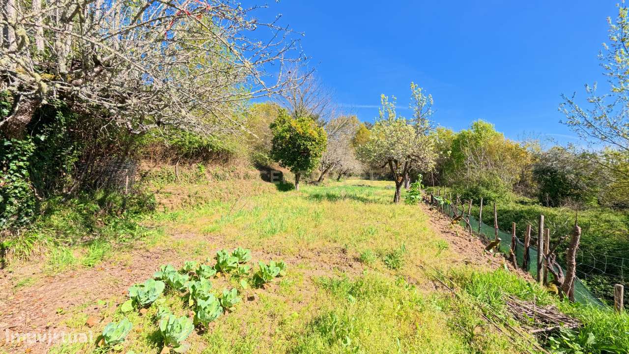 Propriedade para recuperação em Viseu-18