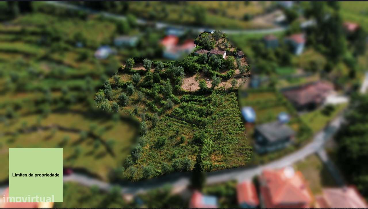 Quintinha com Vista para o Rio Douro – Baião-14