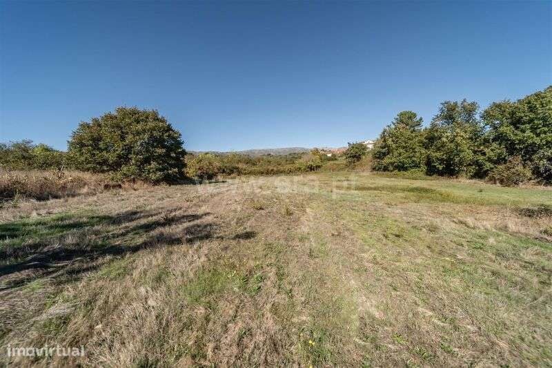 Herdade T6 / Covilhã, Boidobra-17