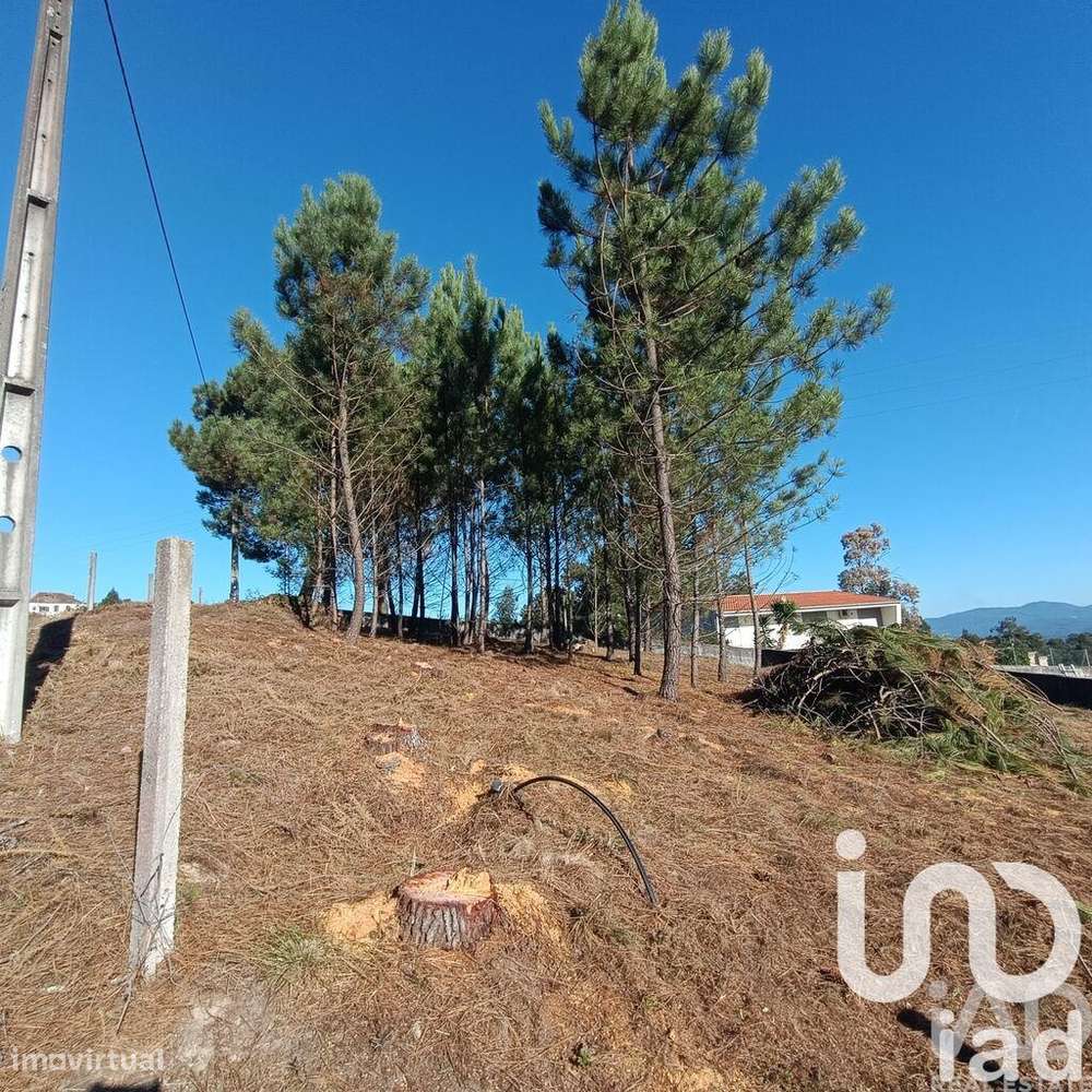 Terreno para construção em Reboreda e Nogueira - Grande imagem: 3/13