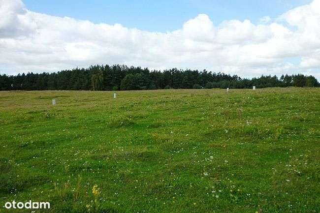 Działki Miodowice (gm. Przybiernów), super cena-3