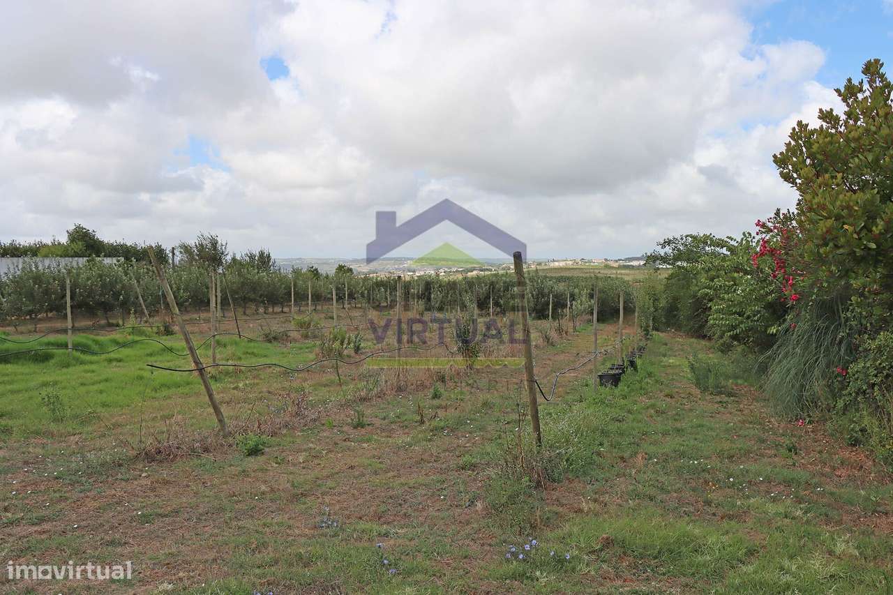 Magnífica Quinta com 19.107 m2 Carvalhal - Bombarral-55