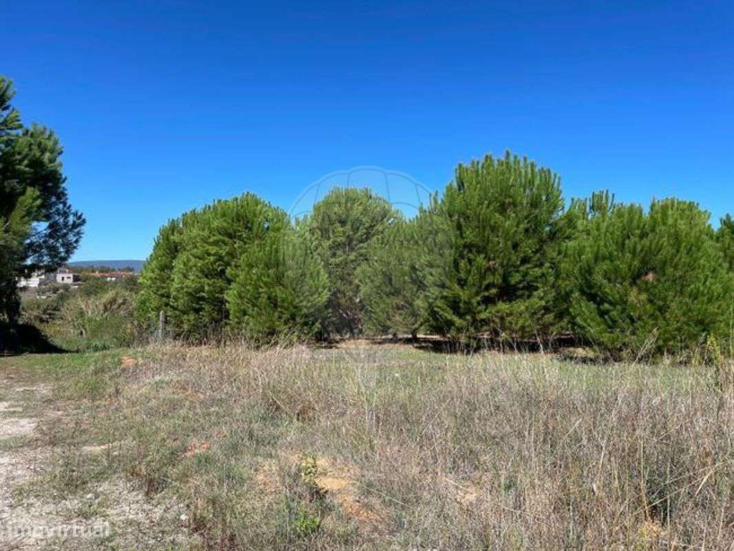 Terreno  para venda - Grande imagem: 5/15