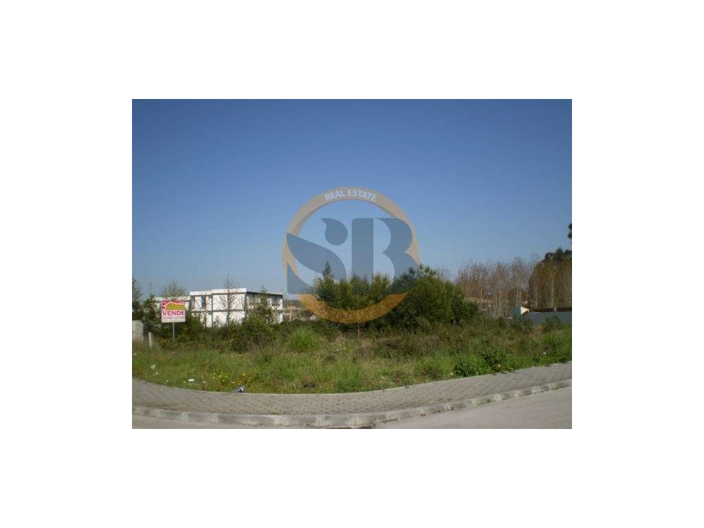 Terreno São João Ovar - Grande imagem: 2/5