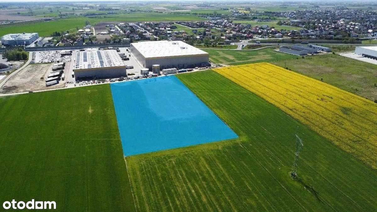 Działka AG , Warunki zabudowy  blisko Poznania i trasy 92 i S5 Zamiana - Pełny obrazek: 5/14