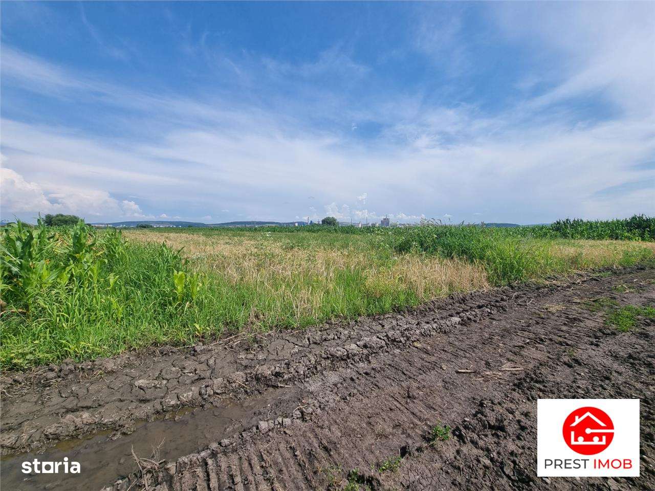 Parcele de vanzare de aprox 5 arii, 50 euro mp , Nazna, - Imagine principală: 5/6