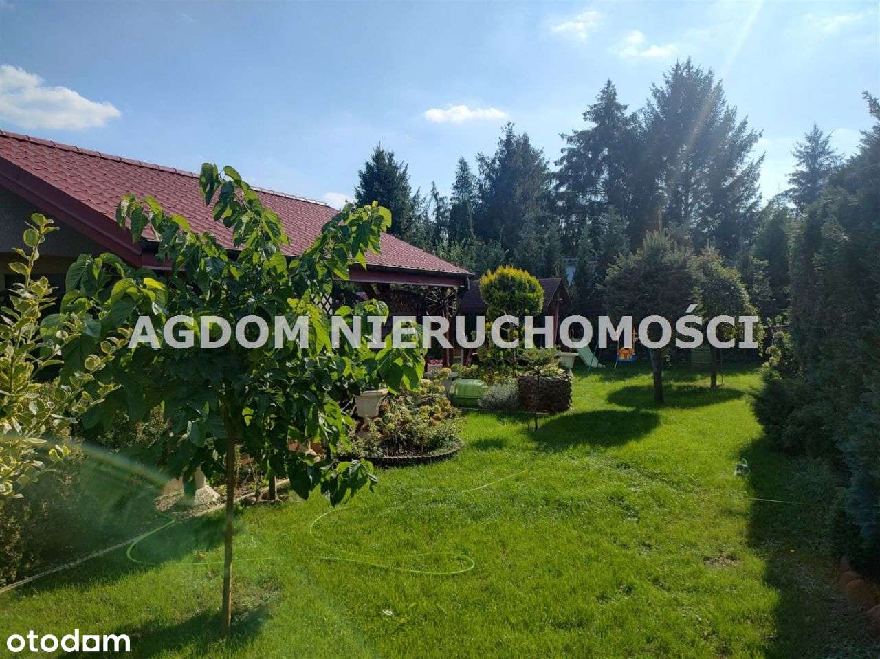 Działka Rod "Wiosenka" - Pełny obrazek: 2/10